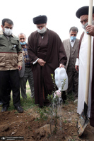 کاشت درخت به مناسبت هفته درختکاری توسط سید حسن خمینی