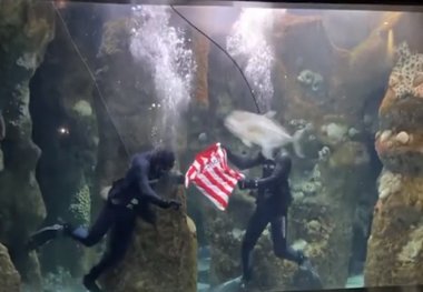 عکس| رونمایی از پیراهن در آکواریوم!