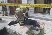 انفجار مواد محترقه در خیابان نبرد خونین شد + تصاویر