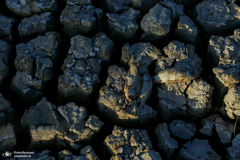 منتخب تصاویر امروز جهان- 18 تیر 1400