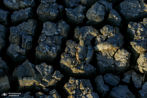 منتخب تصاویر امروز جهان- 18 تیر 1400