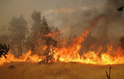 هشدار محیط زیست به آتش سوزی در جنگل ها و مراتع آذربایجان شرقی