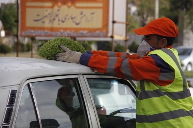 شهروندان شیراز در طرح جمع آوری سبزه مشارکت کردند