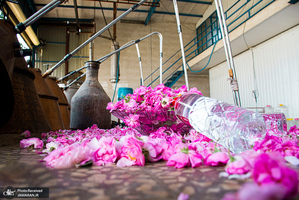 منتخب تصاویر امروز جهان- 13 اردیبهشت 1400