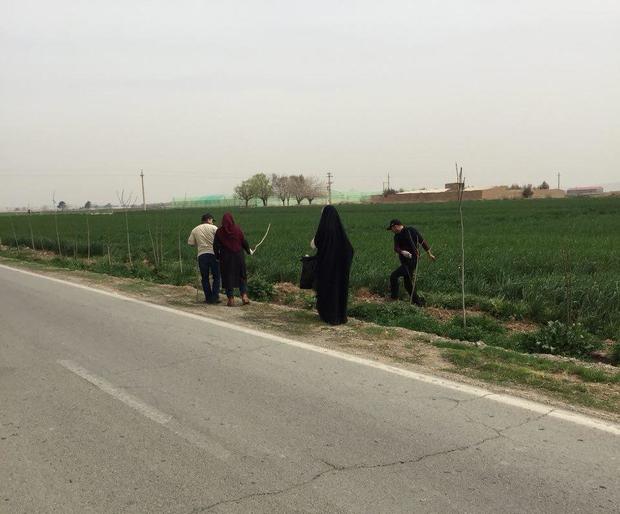 معلولان ورامین جاده روستای هدف گردشگری خاوه را پاکسازی کردند