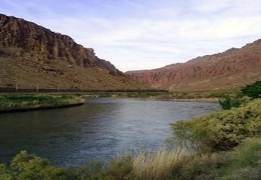 مرگ ماهیان رودخانه اهرچایی به دلیل استفاده بی رویه آب در مزارع