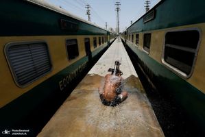 منتخب تصاویر امروز جهان- 31 اردیبهشت