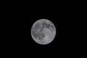 تصاویری زیبا و باشکوه از ماه کامل