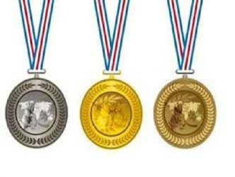 کسب یک هزار و 372 مدال توسط ورزشکاران کرمانشاه در سال 95