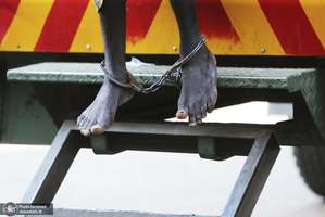 منتخب تصاویر امروز جهان- 26 شهریور