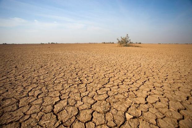 خشکسالی 780 میلیارد ریال به کشاورزی تیران و کرون خسارت زد