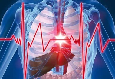 چگونه قلب خود را جوان نگه داریم؟ 