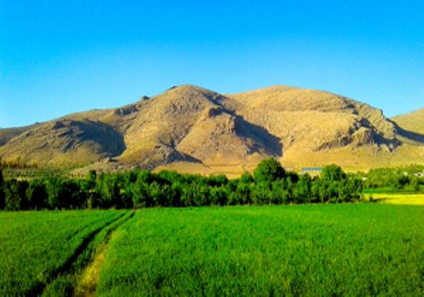 تپه فرهنگی‌ و تاریخی &quot;چم‎شته&quot; در سلسله ثبت ملی شد