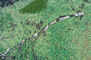 منتخب تصاویر امروز جهان- 24 تیر 1400