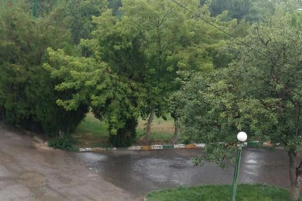 بارش پراکنده در استان تهران پیش بینی می شود