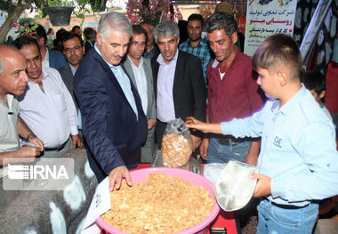 ۲۳۵ تن بادام در مرند تولید می‌شود