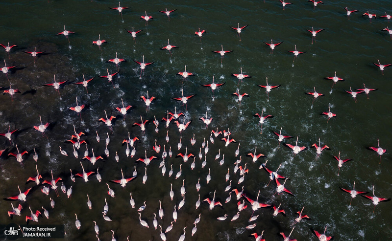 منتخب تصاویر امروز جهان- 16 اسفند