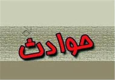 در پی بسته شدن مرزها به خاطر کرونا سارق به دام افتاد
