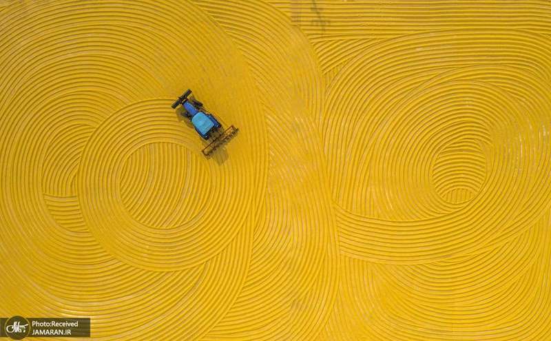 منتخب تصاویر امروز جهان