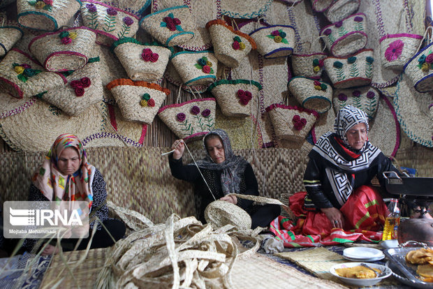 طرح پایلوت توسعه اقتصادی در هشت روستای دهلران اجرا می شود